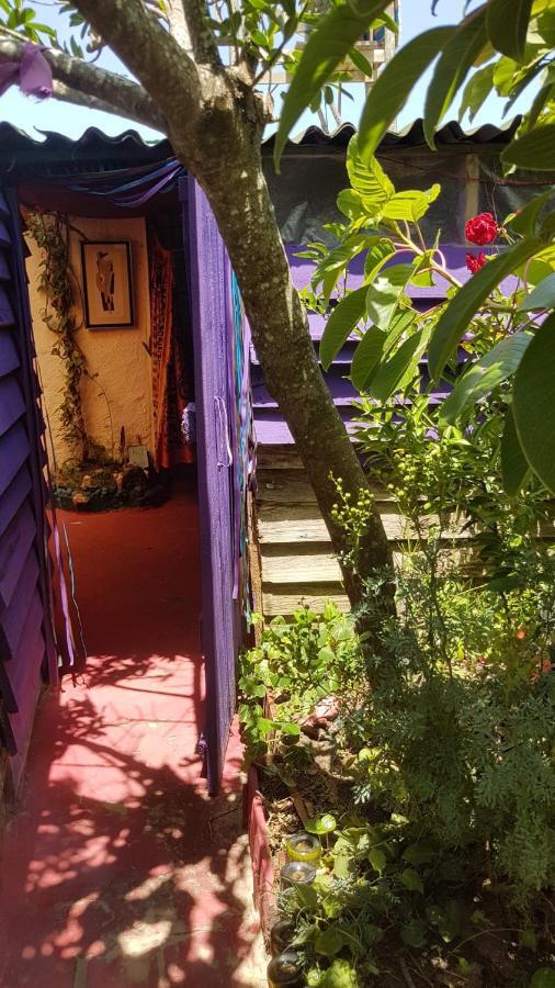 Ajo Aloha Hostel Cabo Polonio Extérieur photo